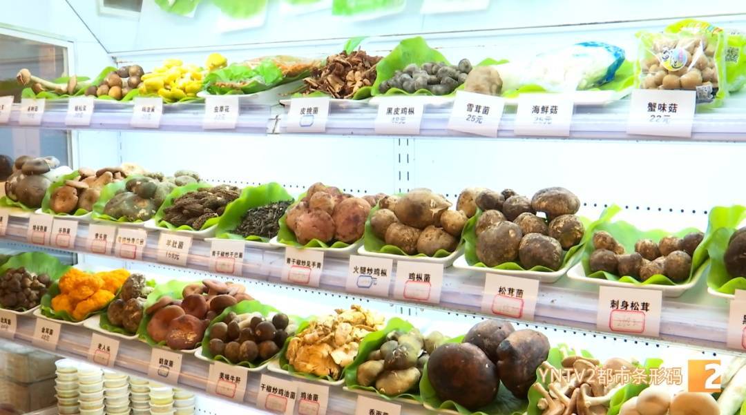 世界杯2026欧洲外围赛_云南毒菌名单公布世界杯2026欧洲外围赛!见手青被“除名”!新增→