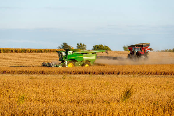 信用网怎么开户_丢了中国市场信用网怎么开户,美国全球“找补”:印度也买点吧