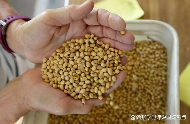 皇冠信用網开号
_48小时内皇冠信用網开号
,中方连下3令,特朗普别高兴太早,承诺一个都不能少