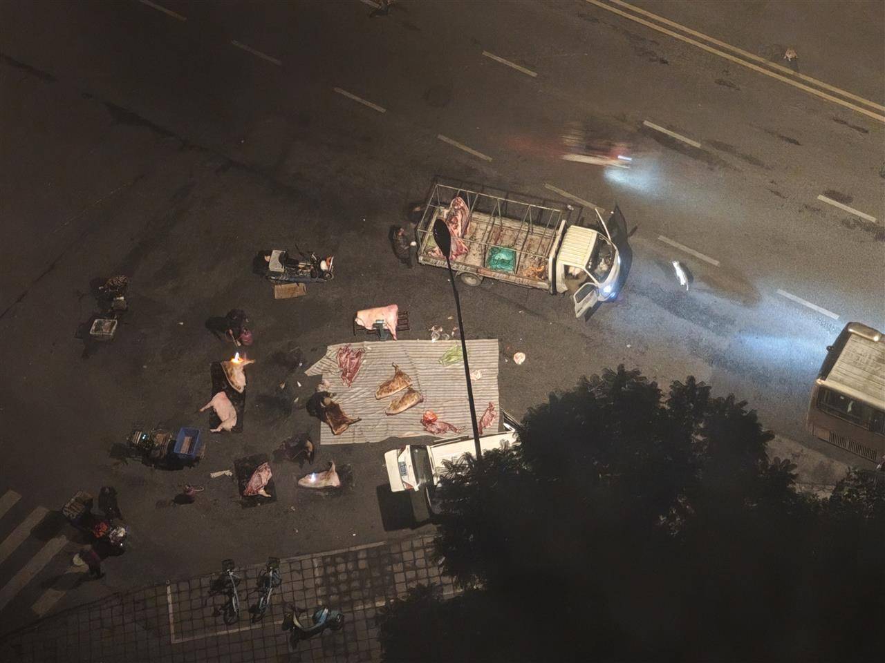 皇冠信用網在线申请
_成都街头凌晨惊现“流动猪肉摊”皇冠信用網在线申请
,一群人在路边地上剁猪肉为摊贩供货,当地回应