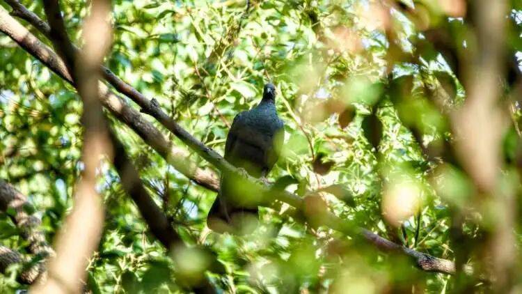 皇冠球网怎么做代理
_百年罕见!首次在上海被目击皇冠球网怎么做代理
,有人专门从北京“打飞的”赶来