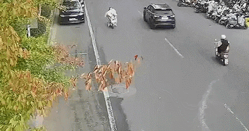 皇冠信用網会员开户
_事故频发皇冠信用網会员开户
！电动自行车“挡风被”到底该不该用？