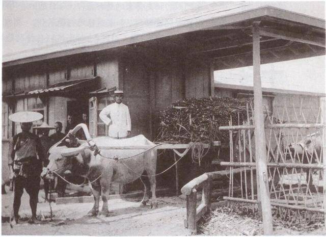 皇冠足球会员注册
_日本欠台湾的血债皇冠足球会员注册
，该还了！