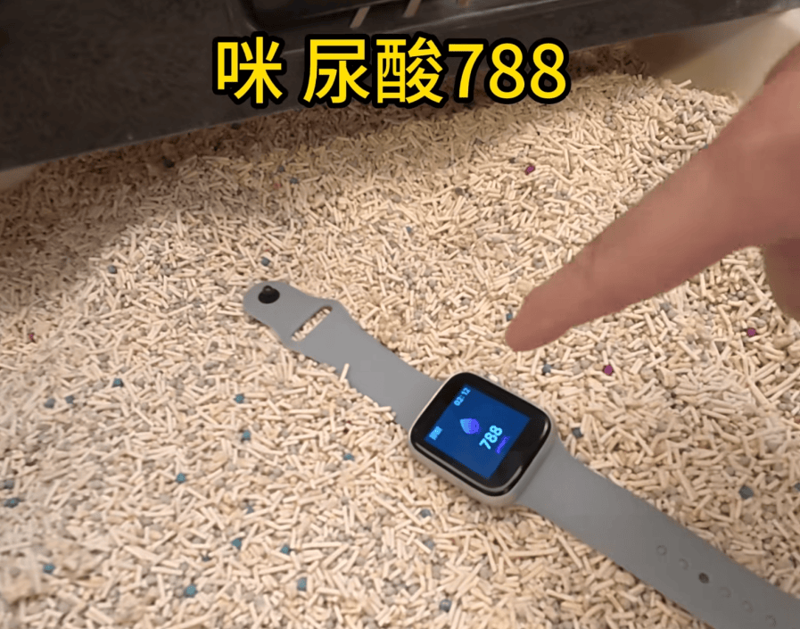 如何申请皇冠信用网_父母花84元网购“神奇手表”如何申请皇冠信用网，儿子发现能测万物：猫咪血糖5.9，吸尘器血糖7.4，父母：下次不买了