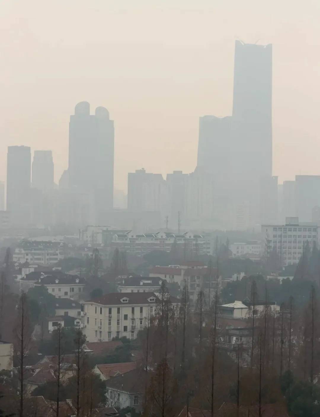 皇冠信用网代理怎么申请_正在影响上海！别开窗皇冠信用网代理怎么申请，减少外出！专家：还有一波上升过程，周六才能彻底结束