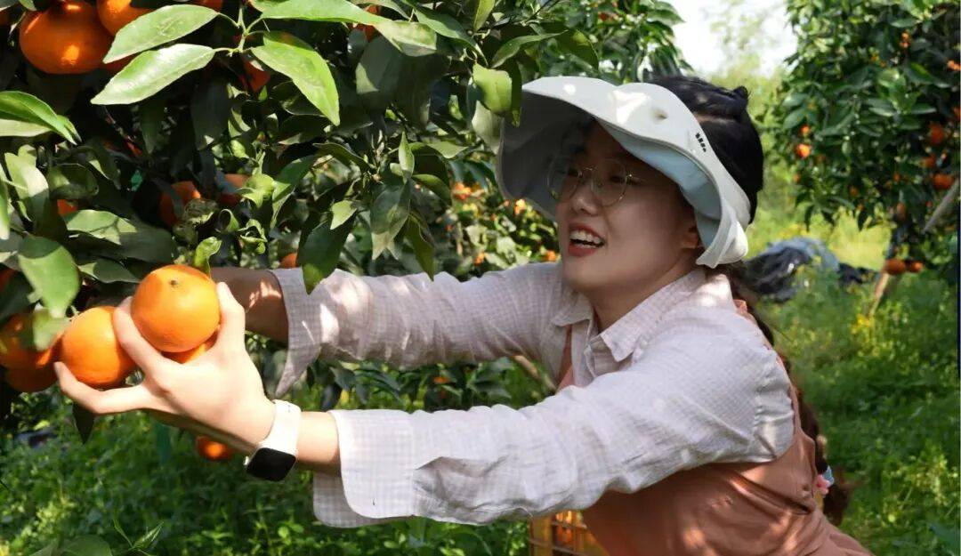 皇冠会员如何申请_考研失败、工作失业皇冠会员如何申请,95后情侣回成都换赛道火了,全网追着买!她说:不是爽文逆袭