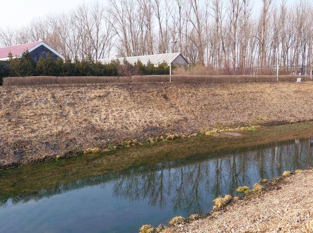 皇冠信用网最高占成_“挺壮观皇冠信用网最高占成，好像水被煮开了”！时隔30余年，顺义箭杆河泉眼复涌